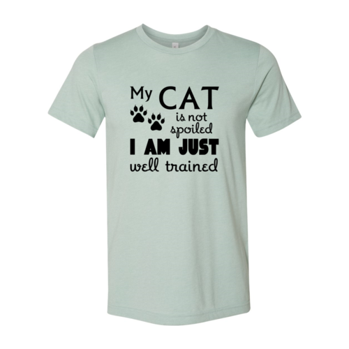 DT0175 My Cat Is Not Spoiled Shirt