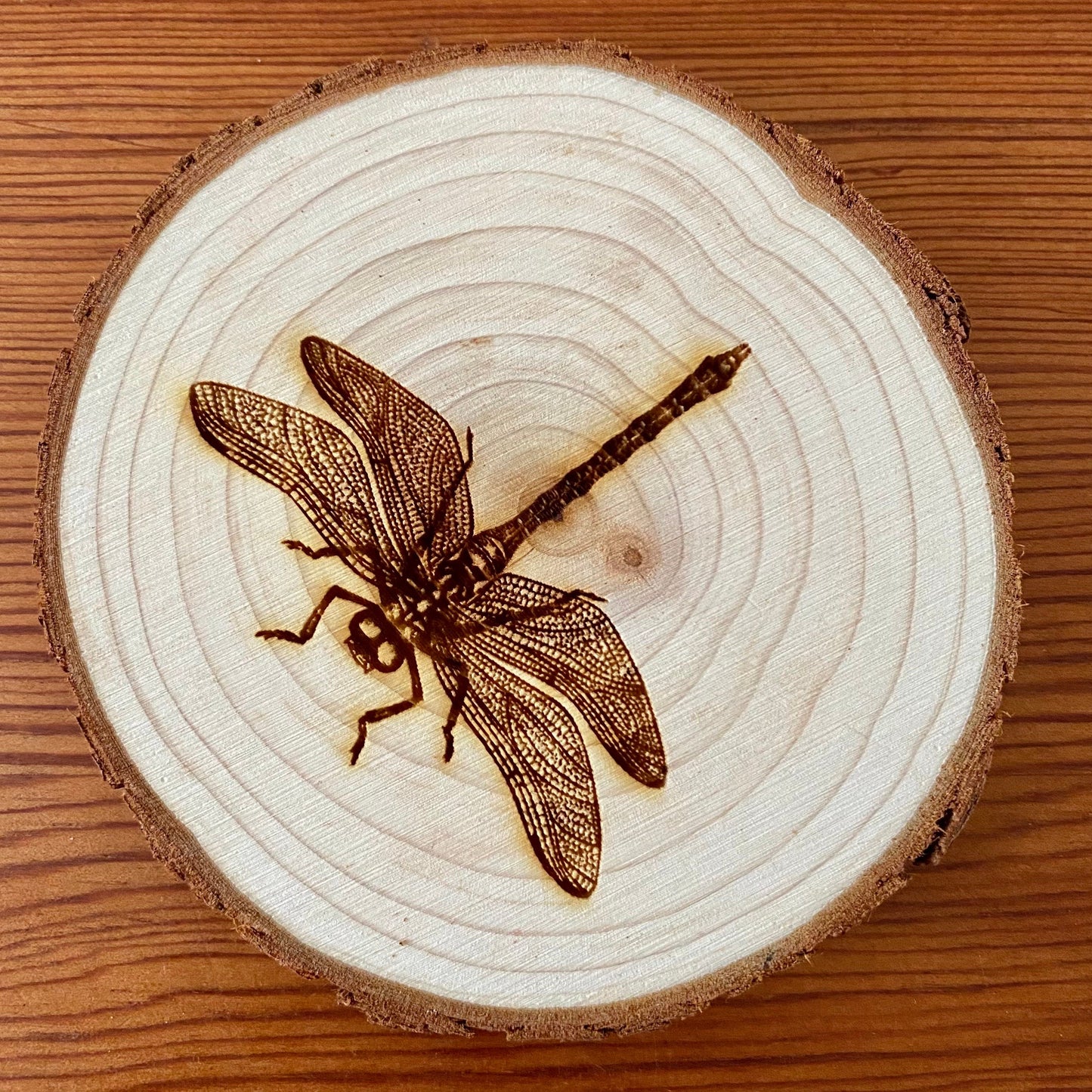 Dragonfly Engraved Wood Coaster Set