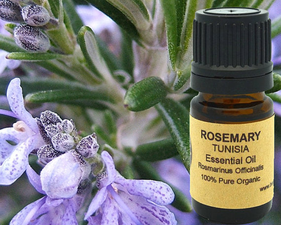 Rosemary Essential Oil (Organic) 15ml